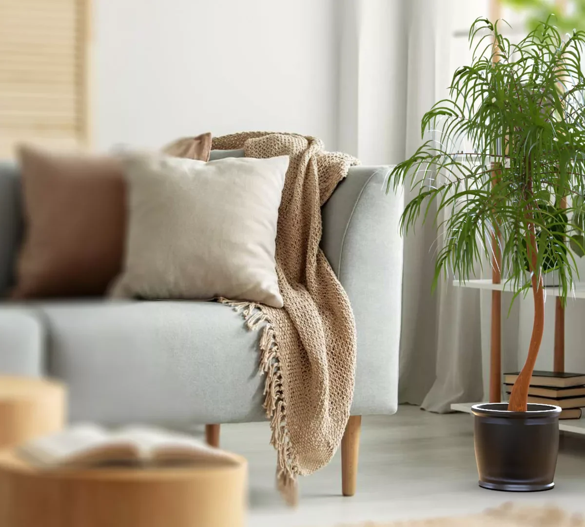 Small Palm Tree In A Pot 3D Model