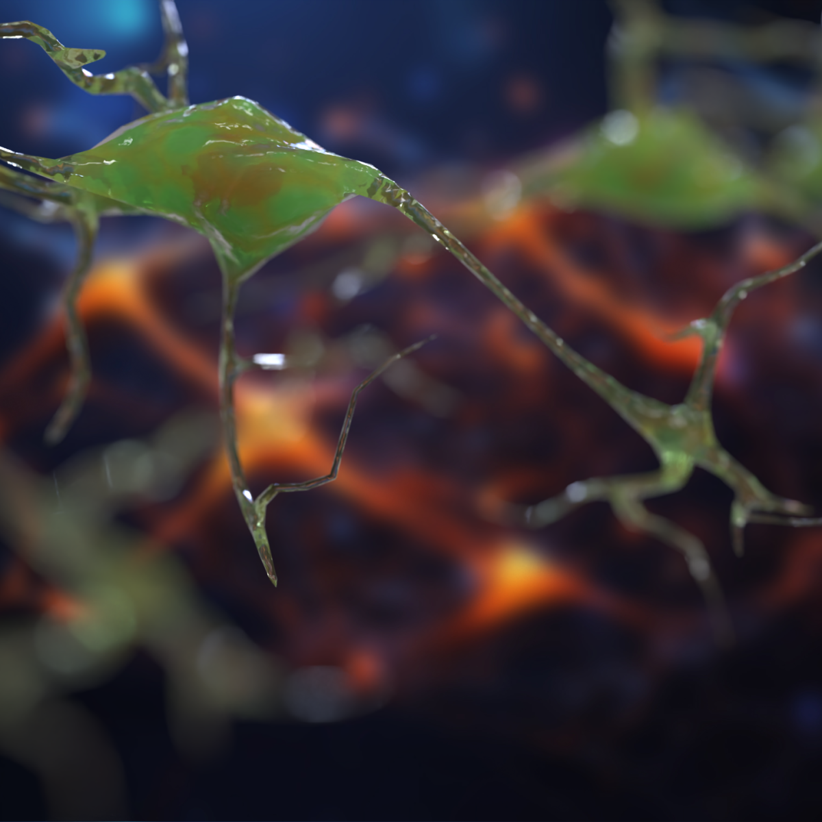 Neuron 3D Models